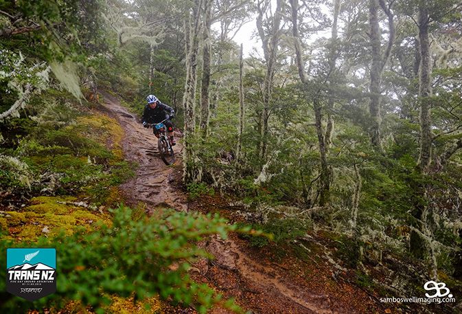 trans-new-zealand-enduro-racer-on-steep-singletrack-timed-descents.jpeg